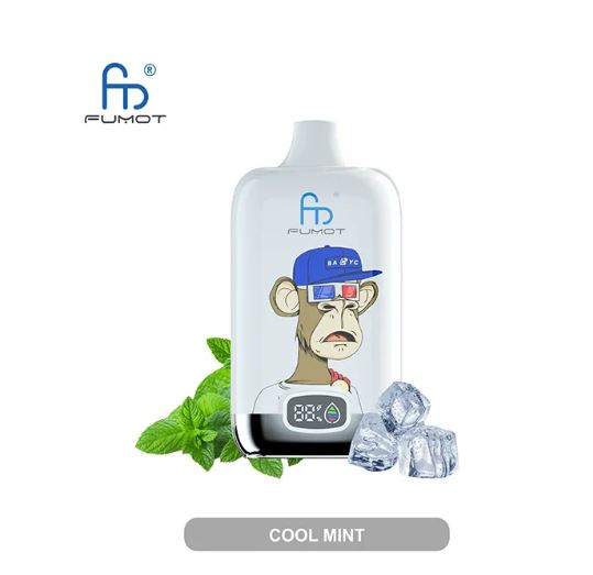 RandM Fumot Digital 12000 Puffs Cool Mint Vape- Only for 11.99 RandM Fumot Digital 12000 Puffs Cool Mint Vape- Only for 11.99