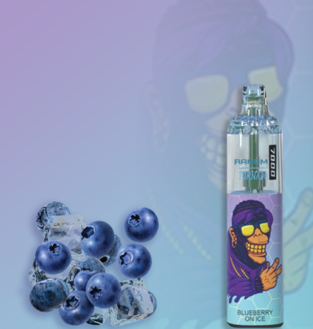 elfbar elfa master akku Randm Tornado 7000 0mg Blueberry Raspberry 7000 Disposable – Royal Vapes main image 1