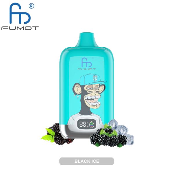 Fumot Digital Box 12000 Puffs Black Ice Disposable Vape