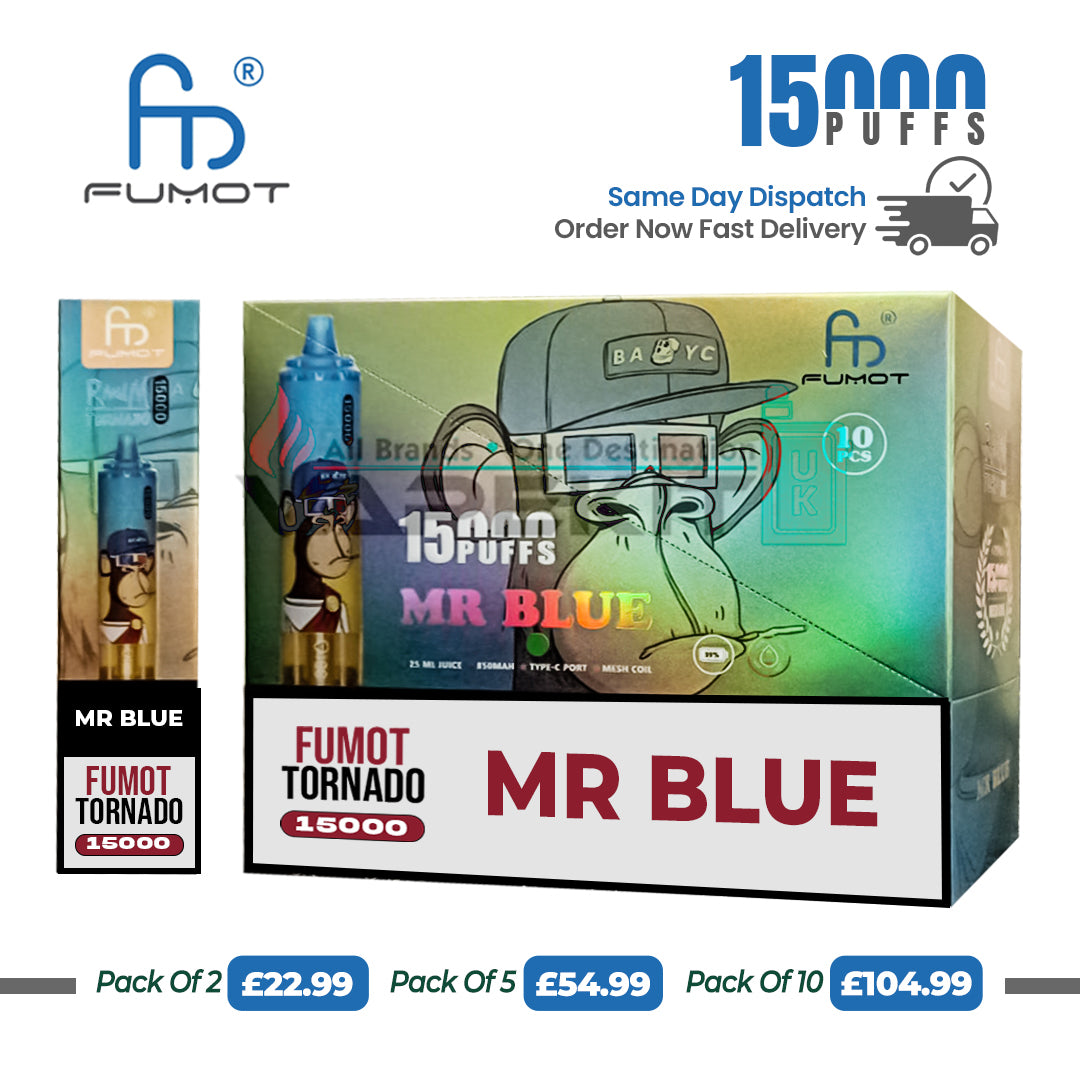 RandM Mr Blue 15k Puffs Disposable Vape