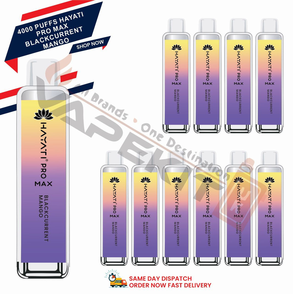 Hayati Pro Max 4000 Blackcurrant Mango prefilled vape