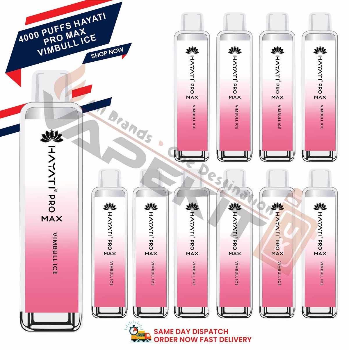 Hayati Pro Max 4000 Vimbull Ice prefilled vape