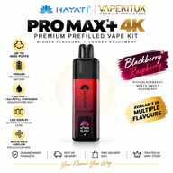 Hayati Pro Max Plus 4000 Blackberry Raspberry 20mg prefilled pod kit with 850mAh rechargeable battery and VapeKitUK branding