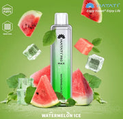 Hayati Pro Max 4000 Puffs Watermelon Ice Box of 10